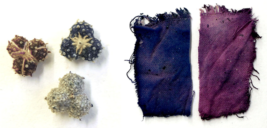 Светло зеленый цвет