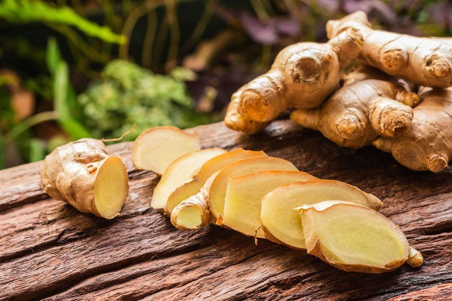 Занжабил Чой