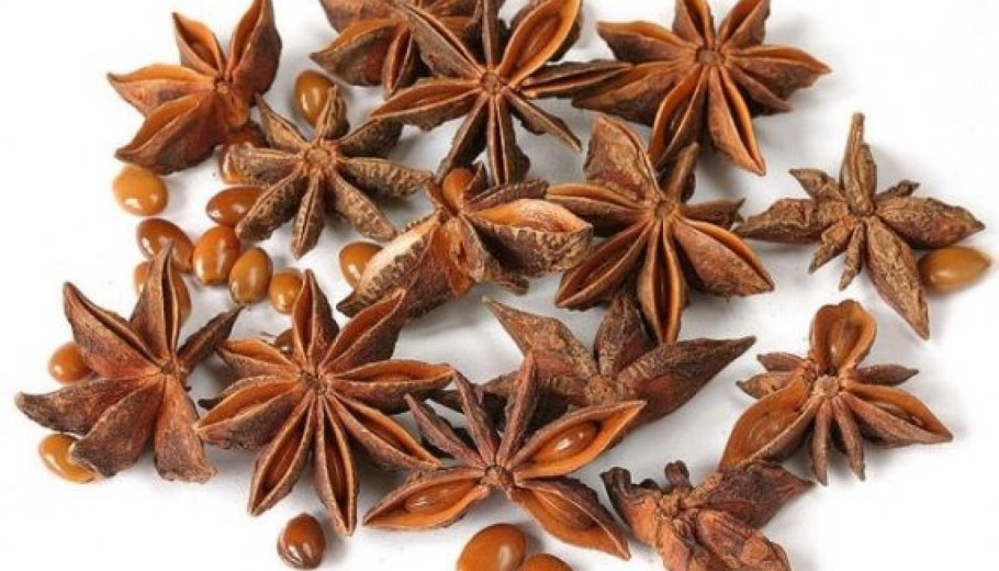 Бадьян - ани́с звёздчатый
