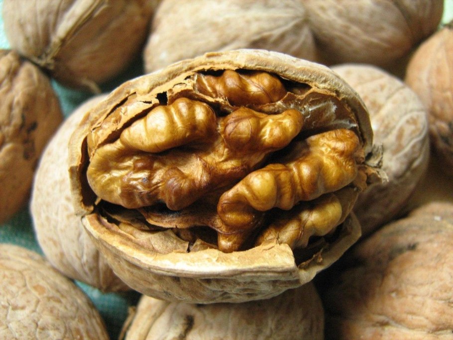 Грецкие орехи Sogdiana