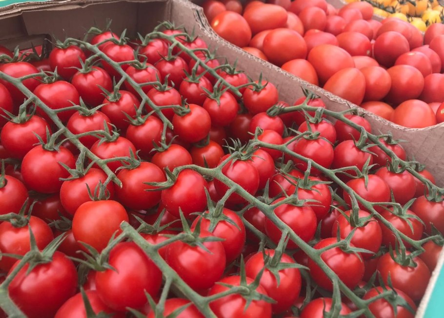 Тепличное хозяйство Солнечнодольск Ставропольский край