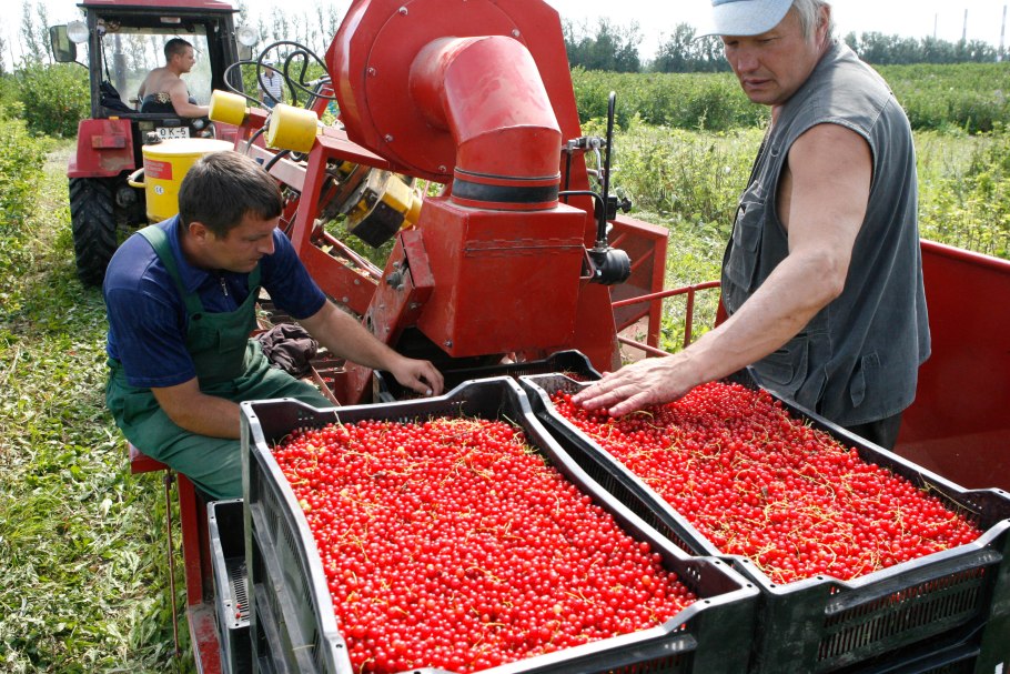 Игра Farm Craft 3