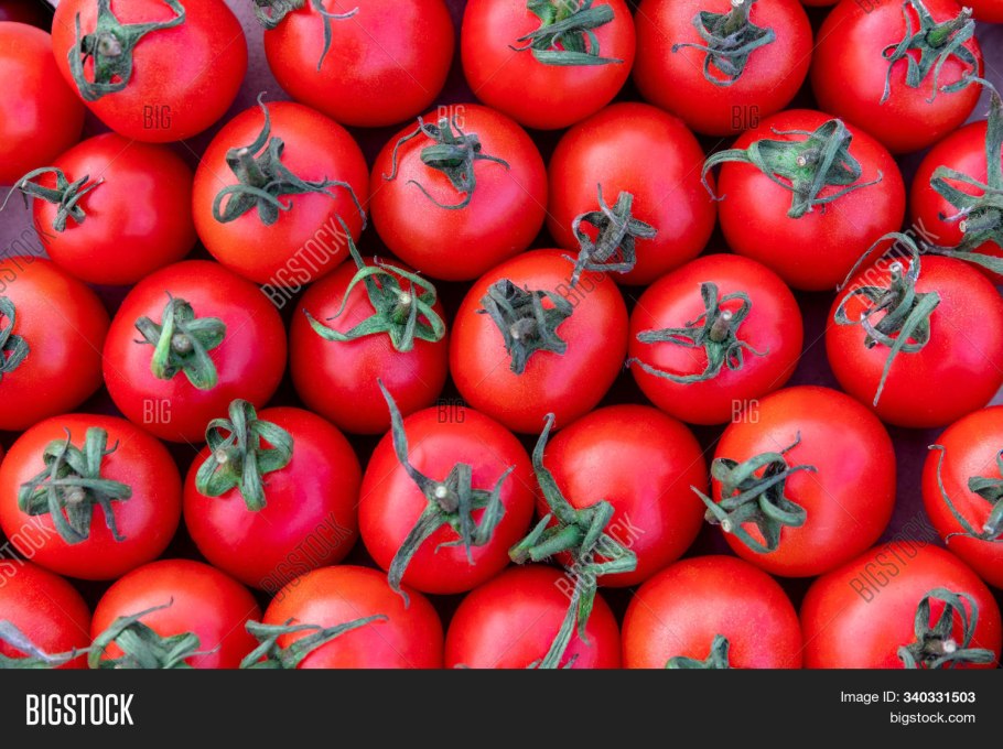 Помидорные фермы вот