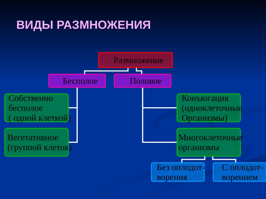 Размножение земляники усами относят к способу