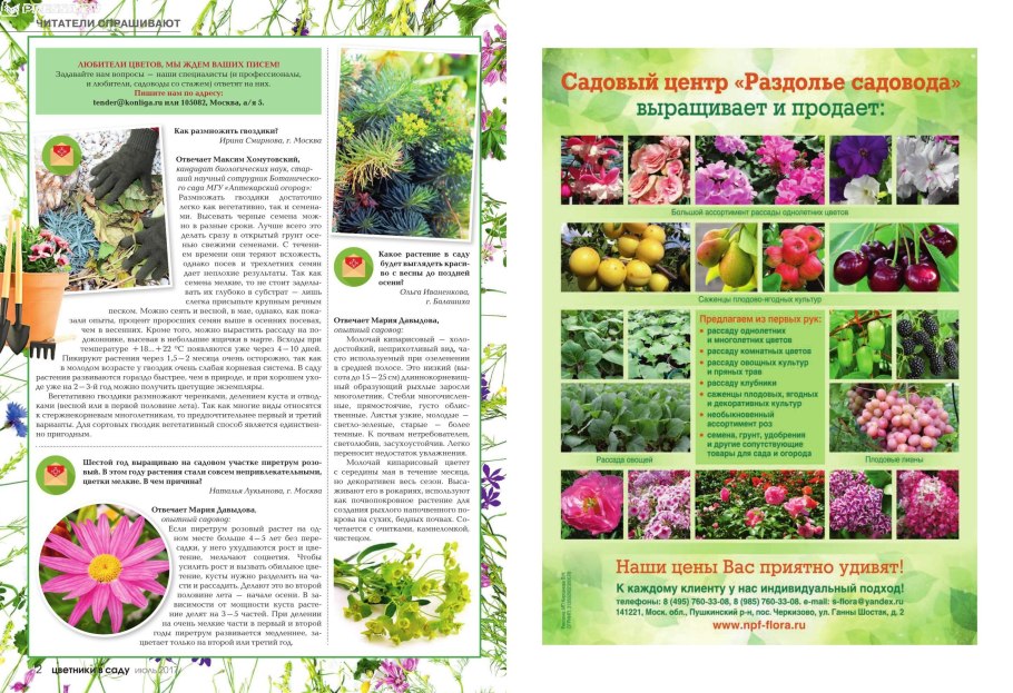 Астра садовый центр в тюмени