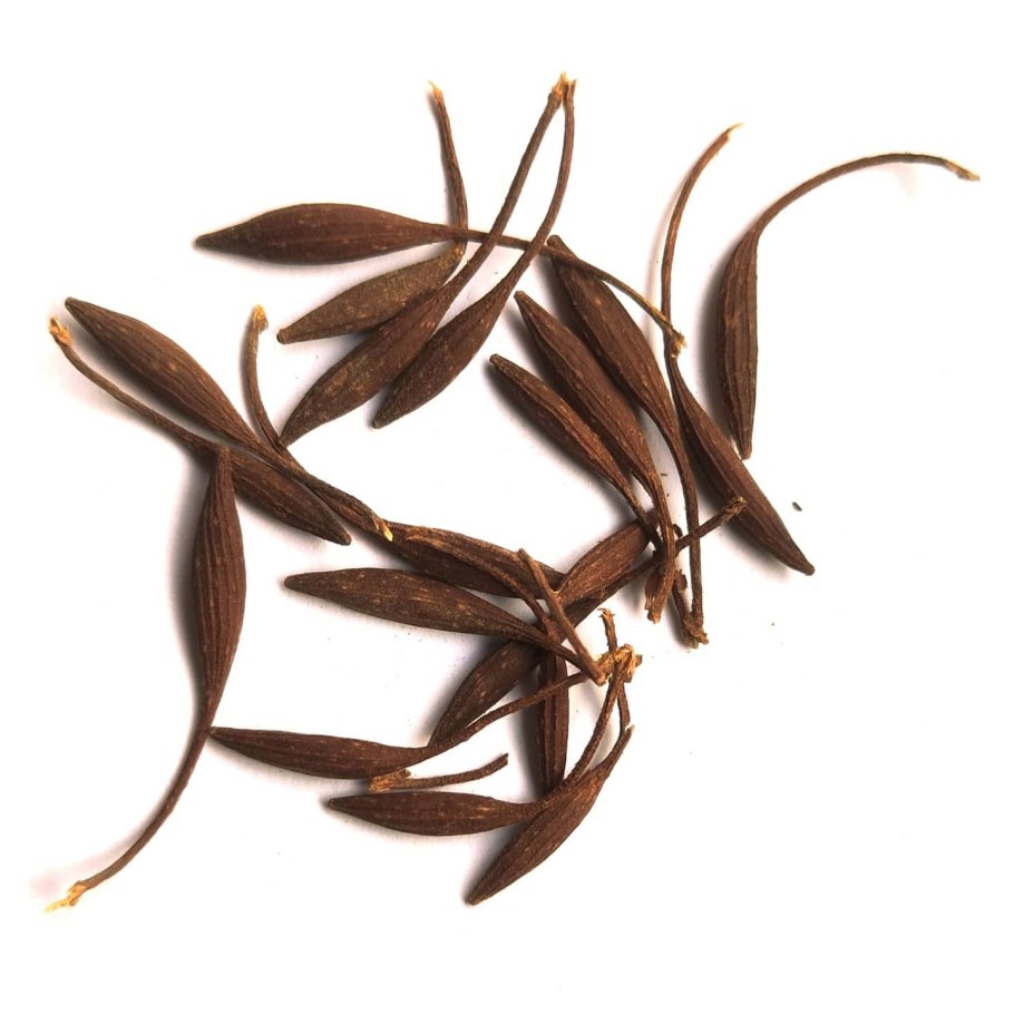 Anogeissus latifolia