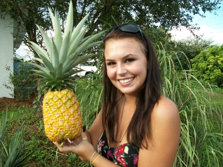 Ананас Кандидо