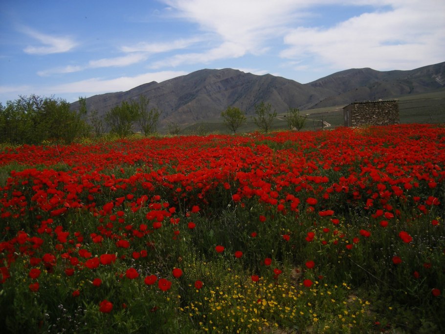 Туркменистан природа