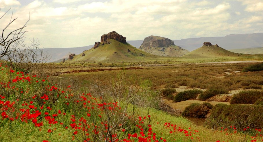 Бадхызский заповедник Туркменистана