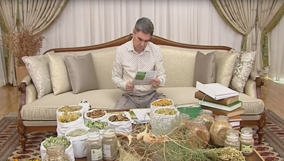 Бердымухамедов гурбангулы мяликгулыевич