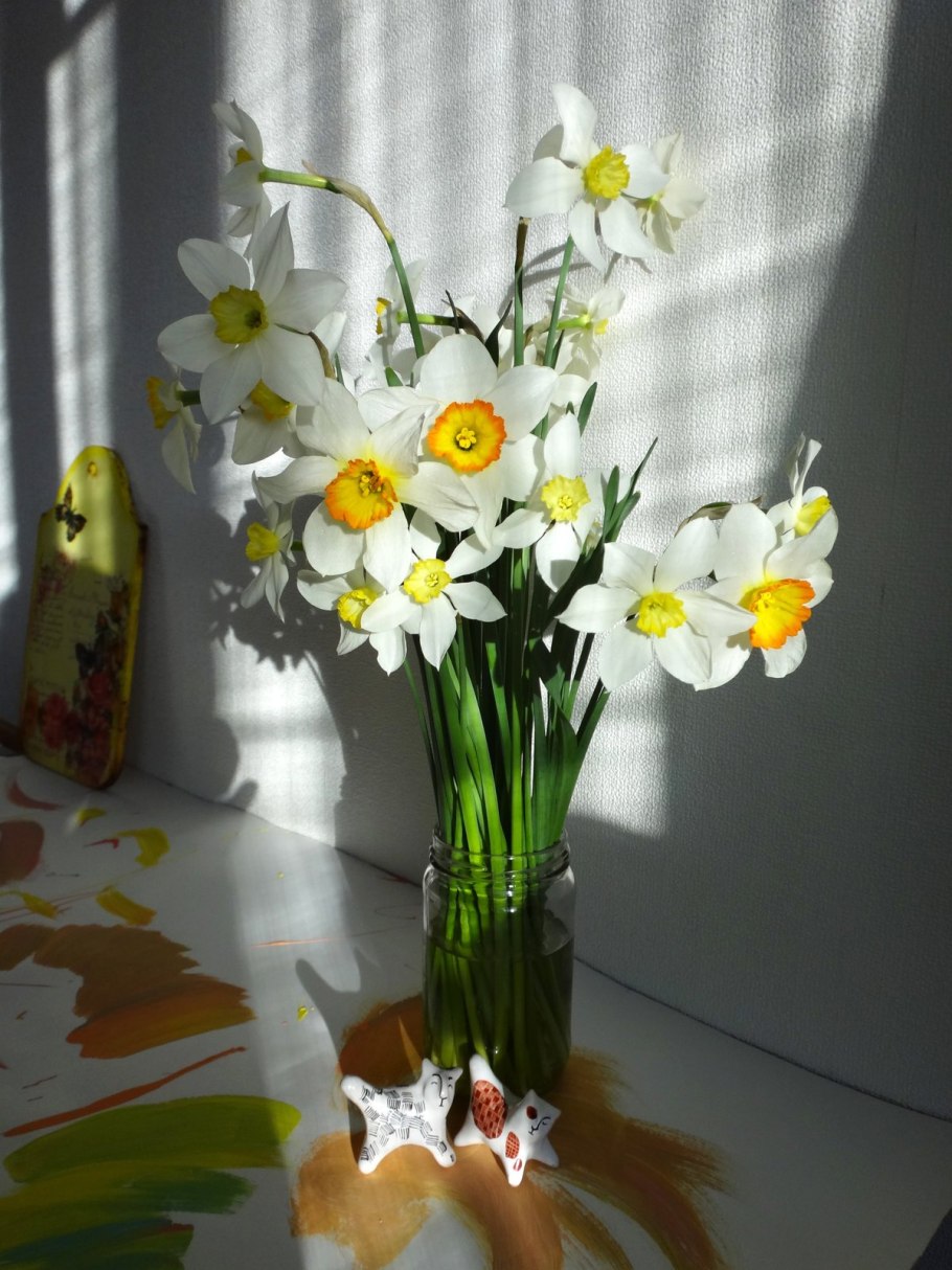 Нарцисс цветок