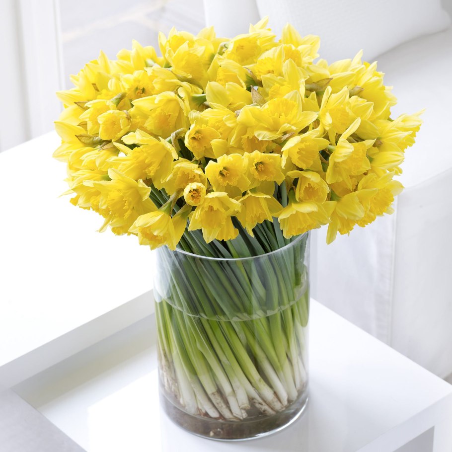 Цветы нарциссы букет