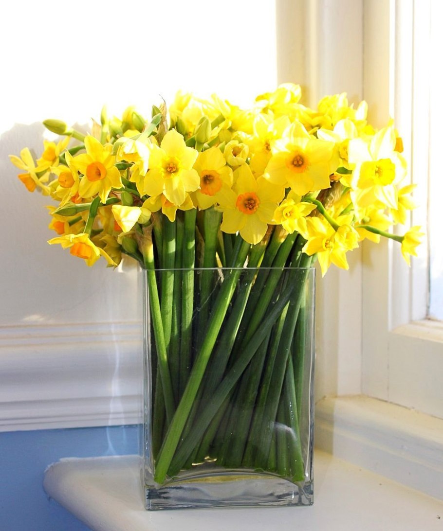 Цветы нарциссы букет