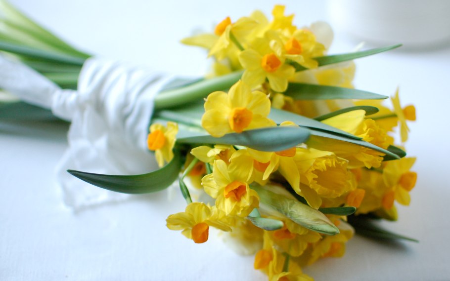 Цветы нарциссы букет