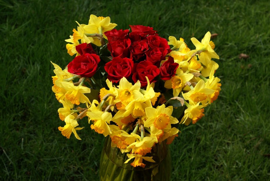 Гиацинтовые нарциссы