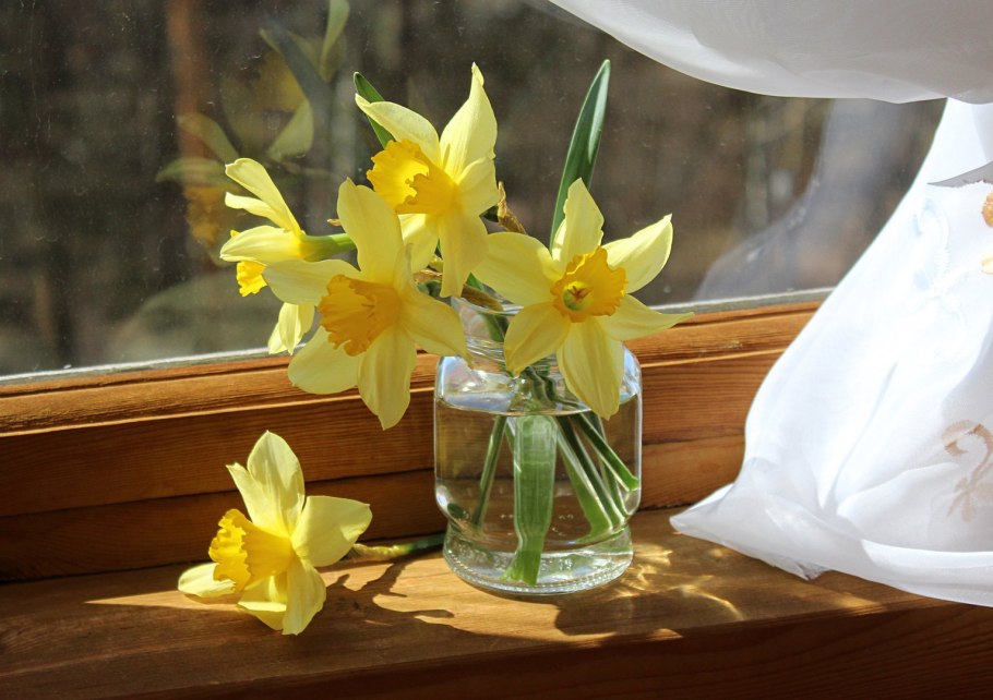 Нарцисс Уайт Петтикоат