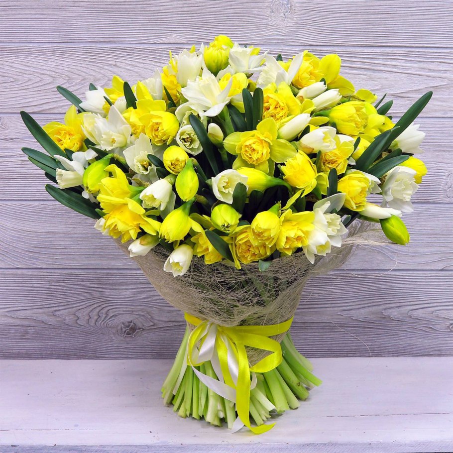 Нарцисс стандарт Велью