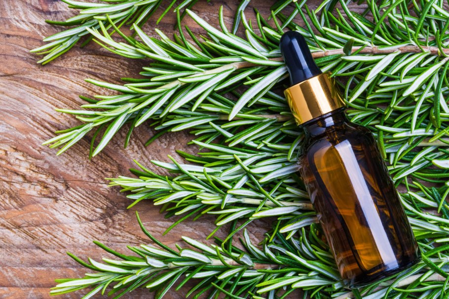 Василёк Боровой