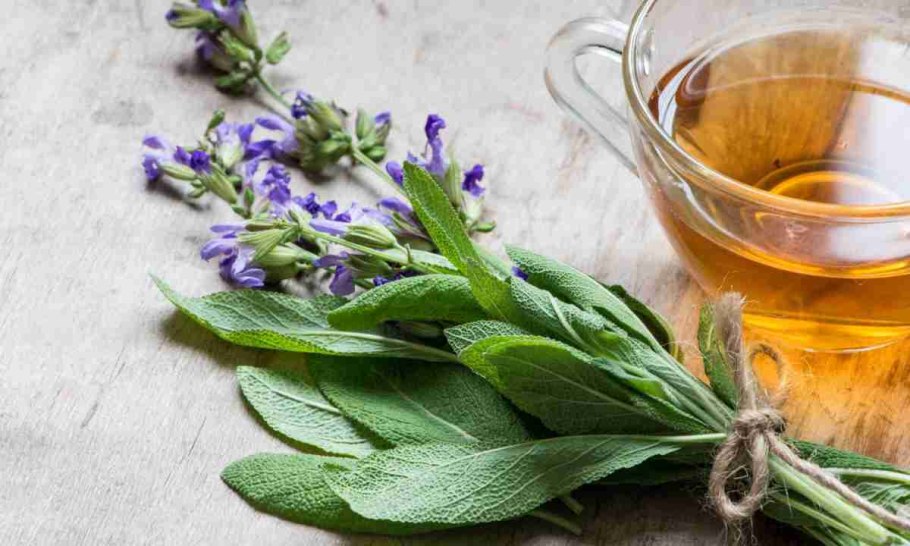 Цветы "Лаванда Горная"