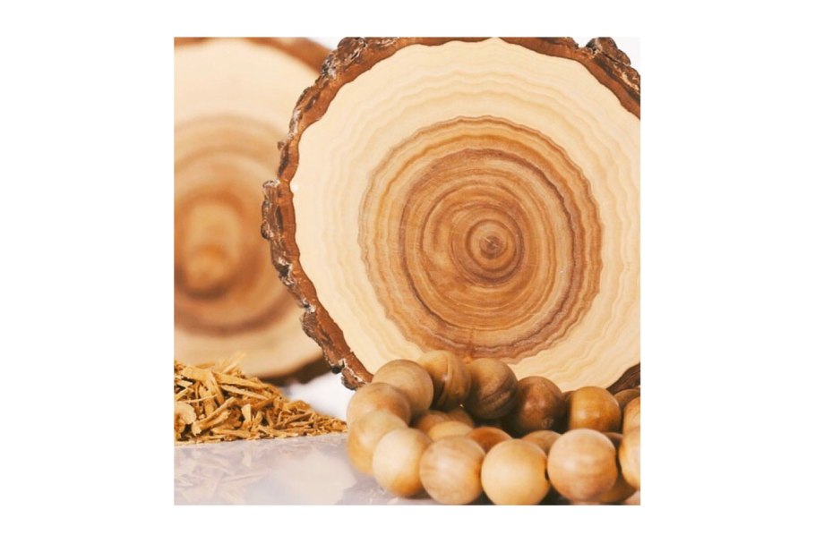 Сандаловое дерево Южной Индии