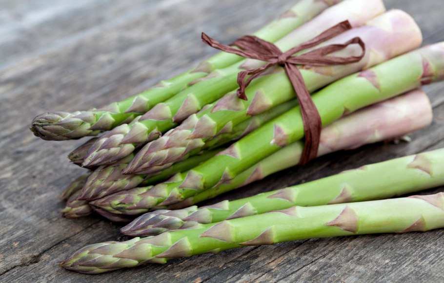 Аспарагус (спаржа) Бэклим