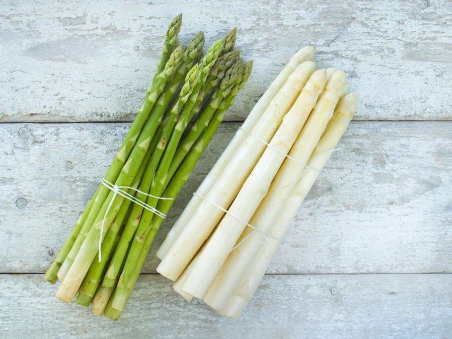 Спаржа коротколистная