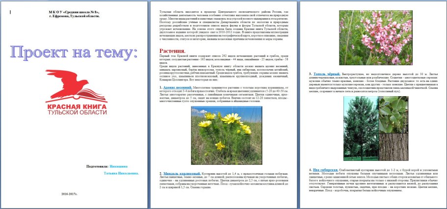 Ландыш Майский Закавказский