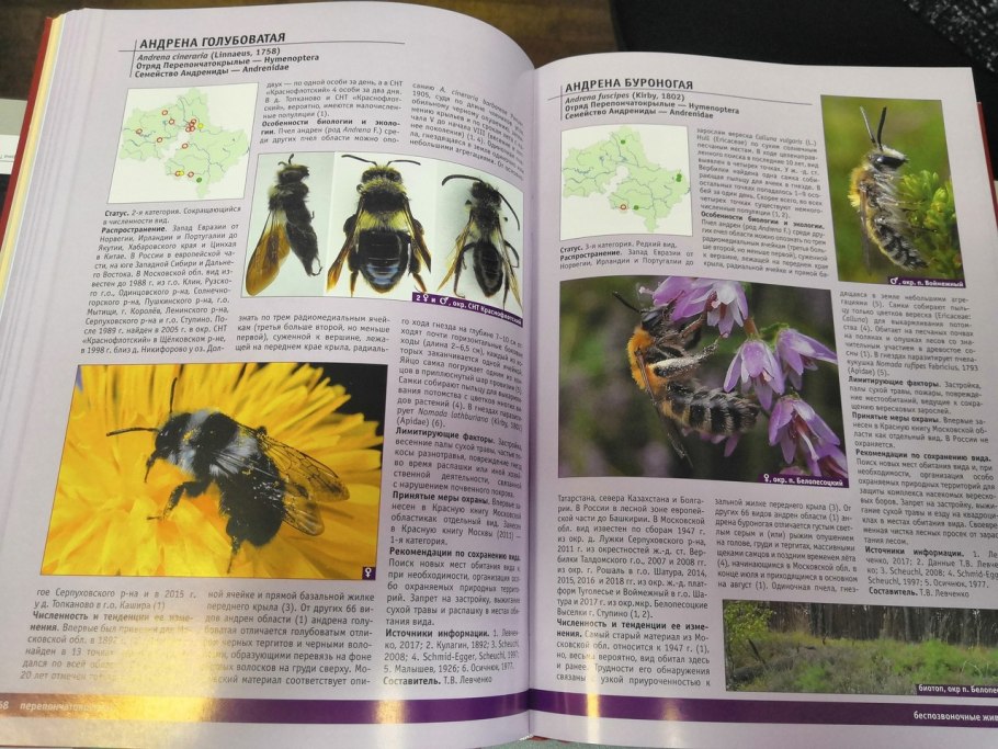 Красная книга 1997