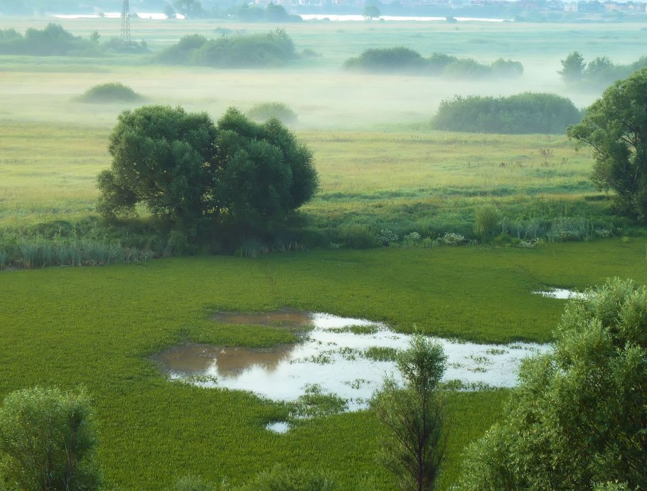 Арзамас заливные Луга