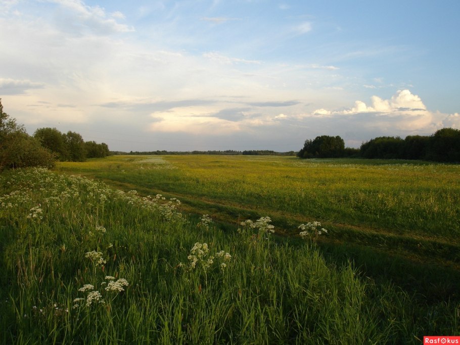 Луговой Торфяник