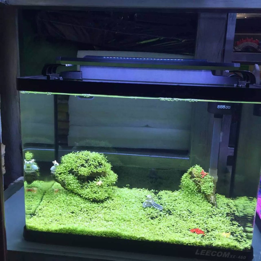 Брелок Mongoose LS 9000d