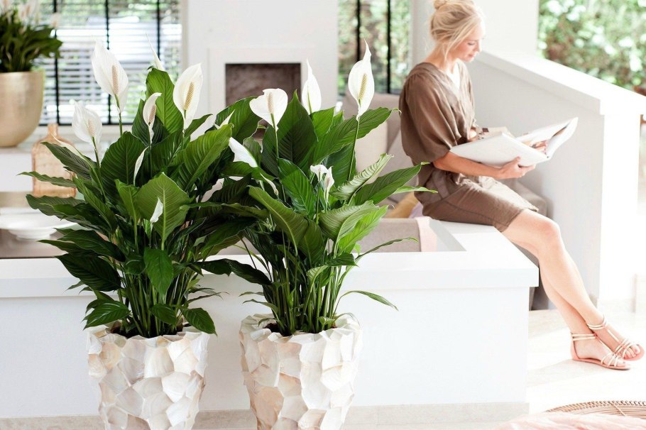 Кашпо для зелени на подоконнике