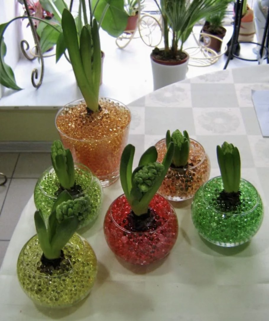 Гидрогелевые шарики для цветов