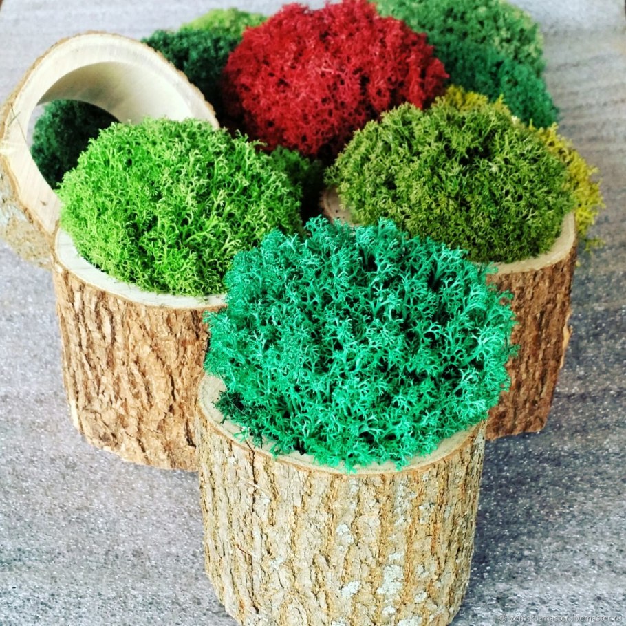 Лекарственные и пряные травы