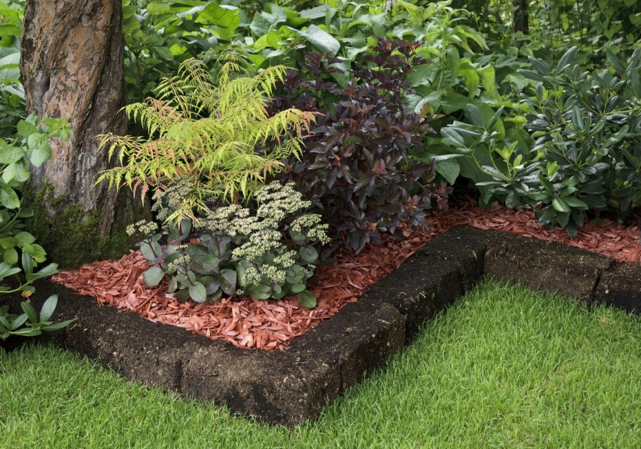 Фитодизайн террариум