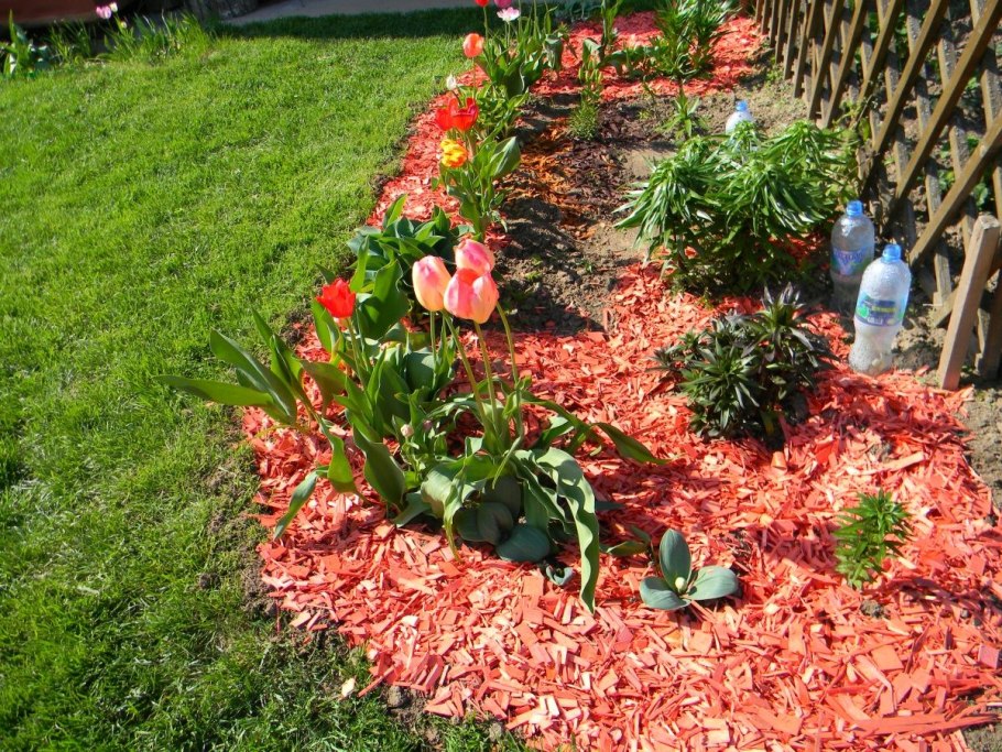 Комнатные цветы в интерьере