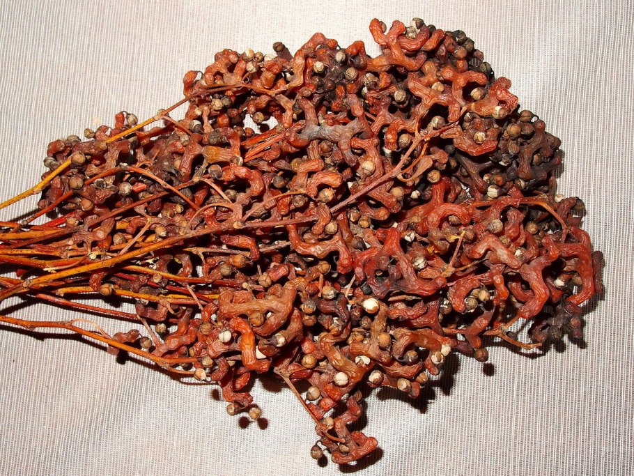 Конфетное дерево гевея