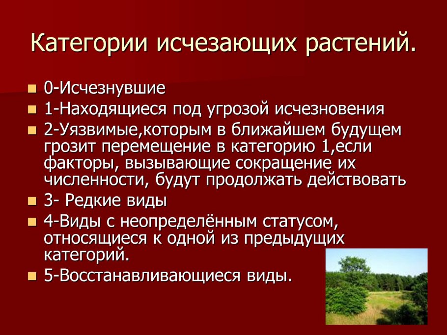 Венерин башмачок красная книга