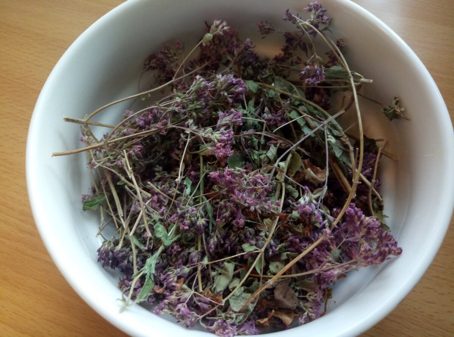 Thymus marschallianus