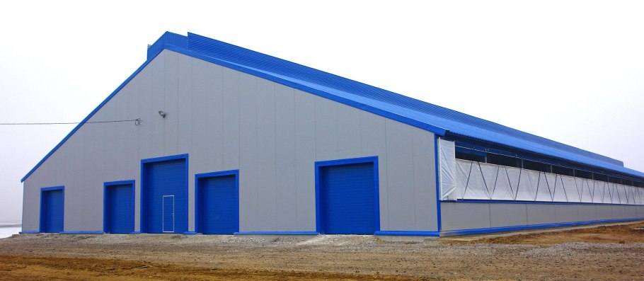 МТФ коровник