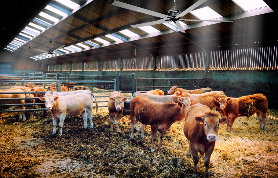 Животноводческая ферма Телятник