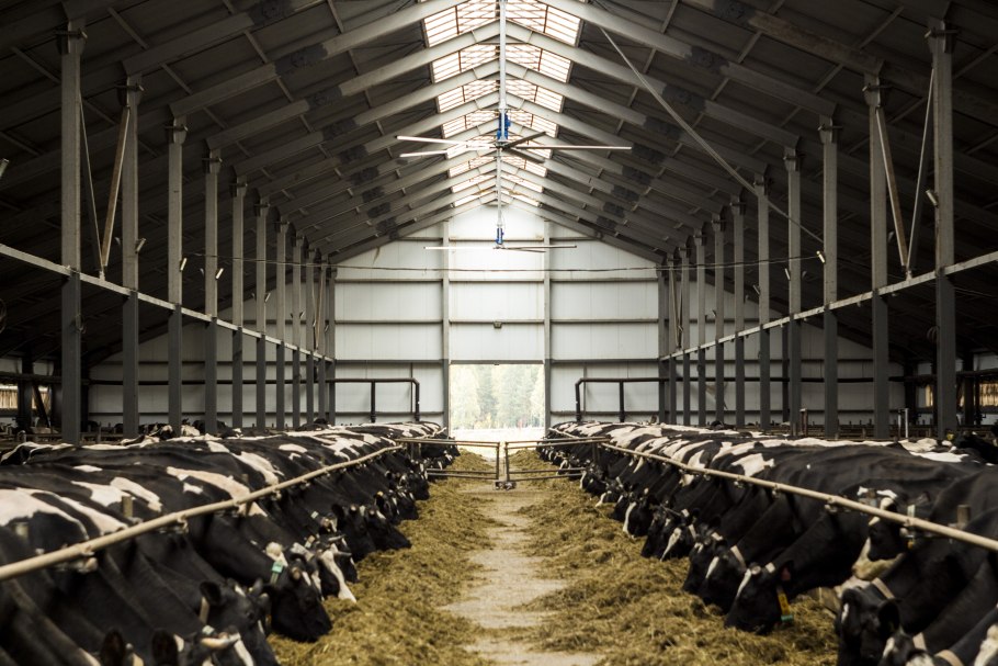 Животноводческий комплекс "красный Партизан"