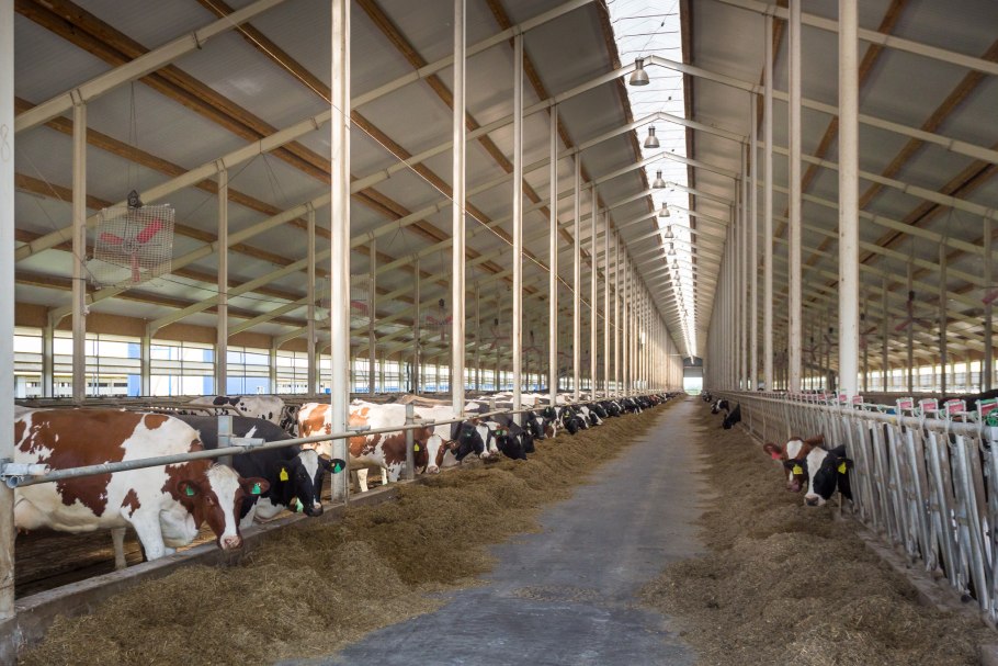 Животноводческая ферма Телятник