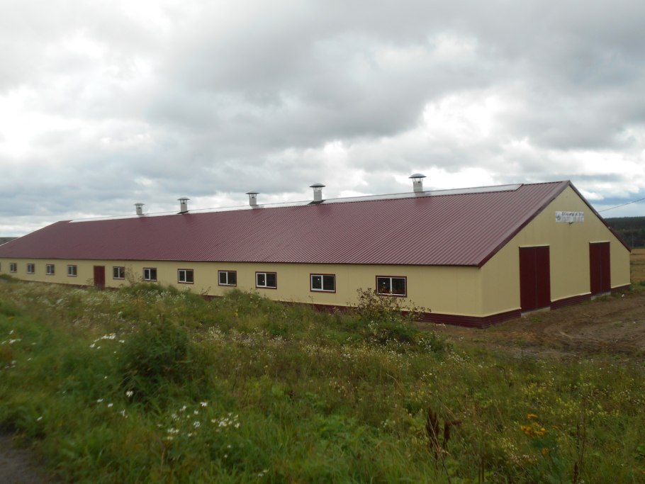 Ферма коровник