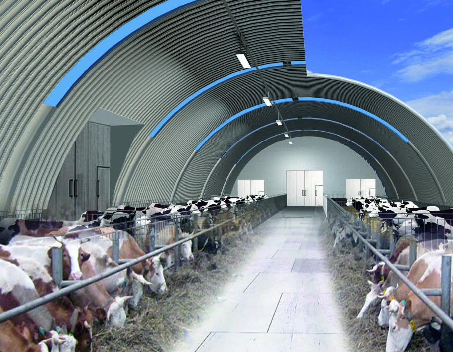 Ферма коровник 20 кoрoв