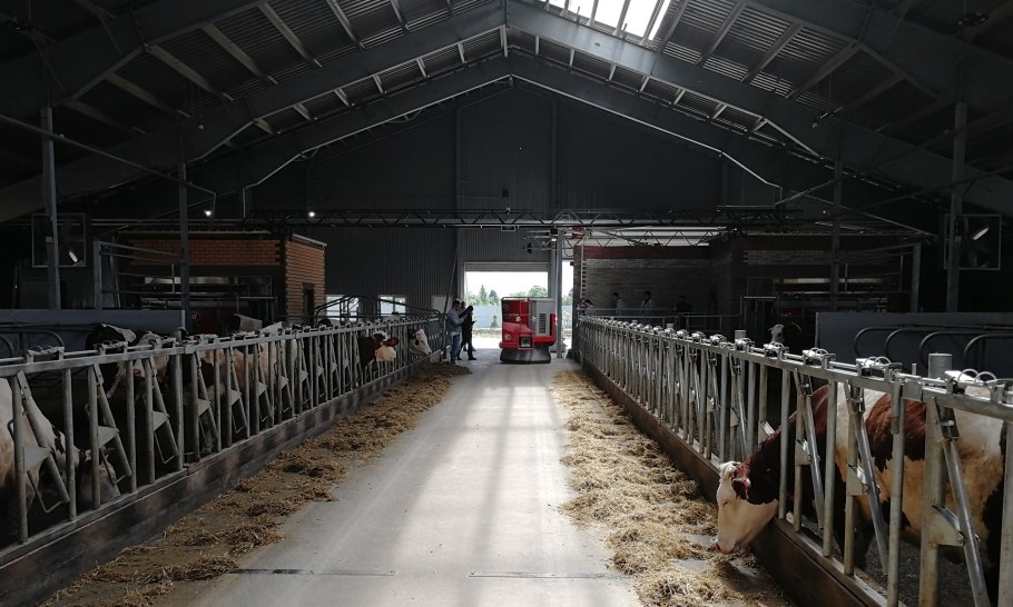 Родниковое поле ферма Веневский район