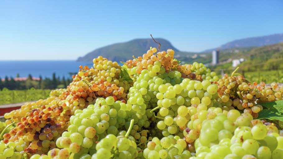 Крымский виноград