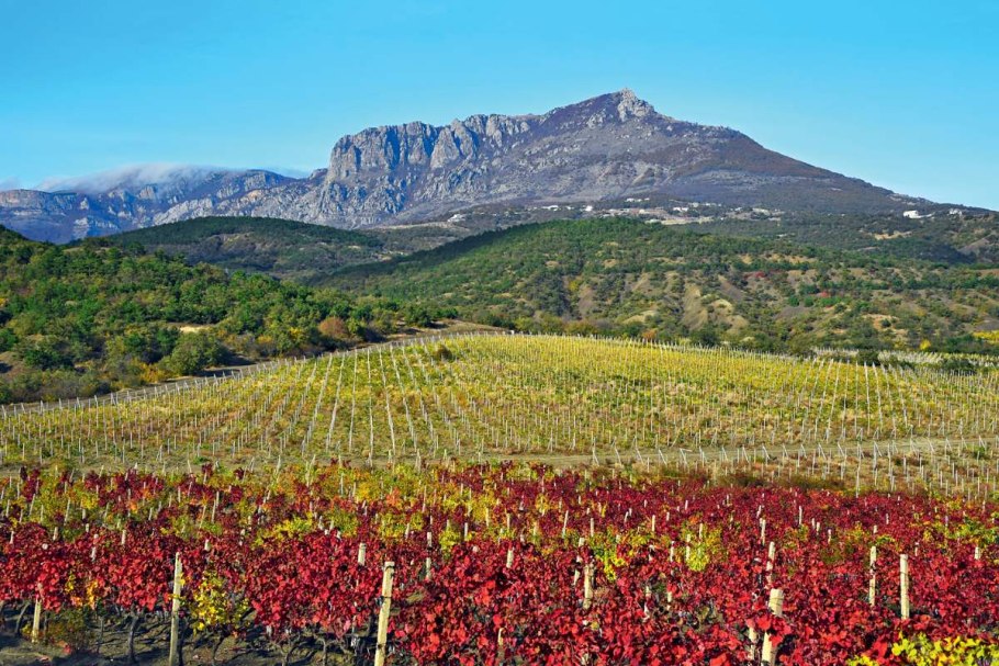 Винный парк Мрия Ялта