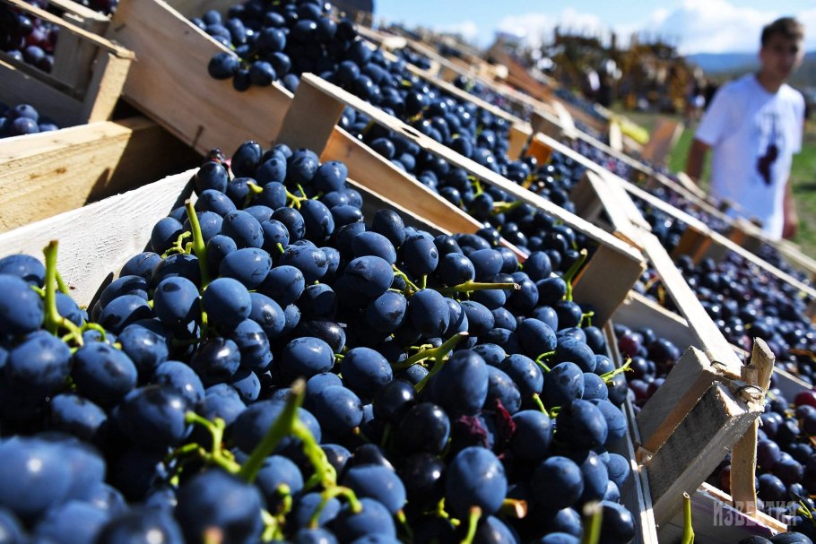 Массандра виноград Крым