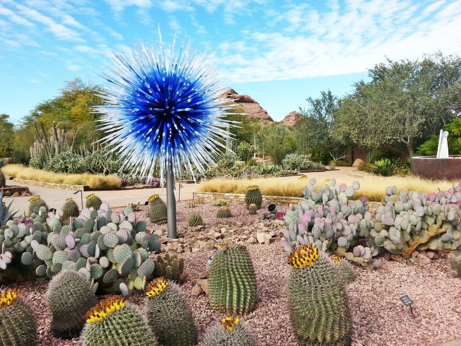 Desert Botanical Gardens Chihuly